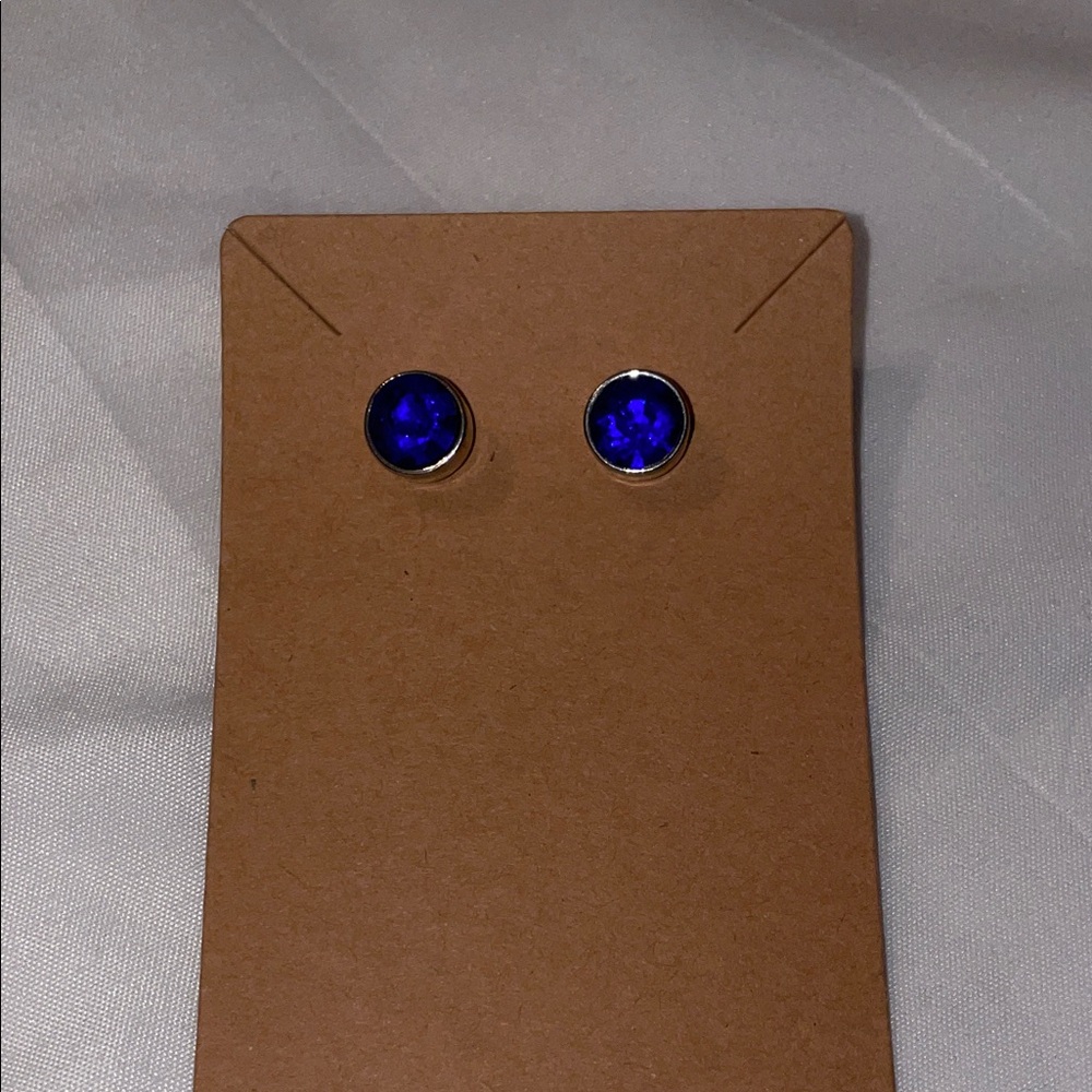 BOGO Blue stone earrings in a silver setting